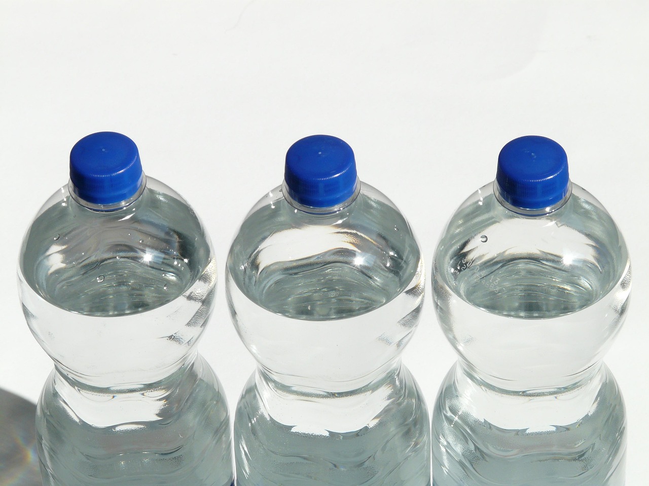 bottles, plastic bottle, bottle, sparkling water, water, nature, transparent, lid, blue, tight, drink, carbonic acid, quiet, refreshing, refreshment, to stand, side by side, row, air bubble, closure, screw cap, close, three, domestic animal, polyethylene terephthalate