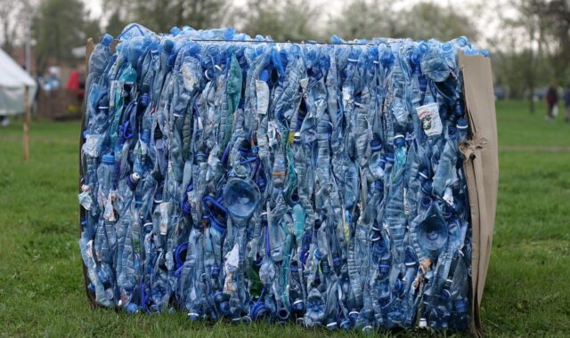 garbage, recycling, bin, segregation, cleanliness, plastic, processing, plastic bottles, waste, garbage, recycling, bin, plastic bottles, plastic bottles, plastic bottles, plastic bottles, plastic bottles, waste, waste, waste, waste, waste