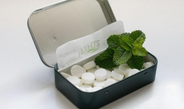 candies, measure, menthol, leaves, box, nature, expanded, cold, mints
