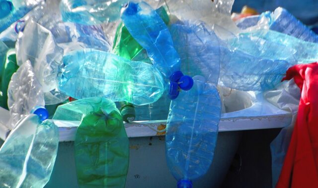 plastic, detritus, bulky, recycling, the environment, ecology, bottles, organic, disintegration, balayure, debris, waste, junk, residue, destruction, pollution, degradation, nature, protection, plastic, plastic, plastic, plastic, plastic, recycling