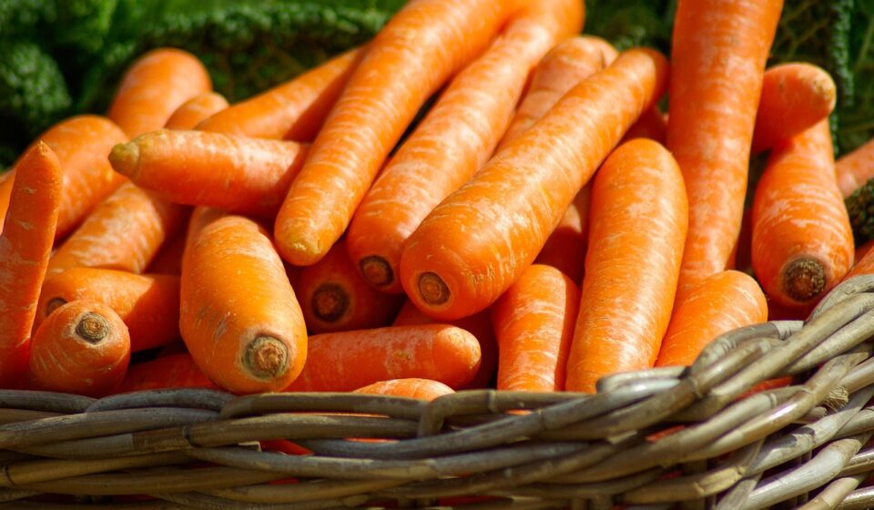 carrots, basket, vegetables, market, food, orange vegetables, harvest, produce, fresh, organic, fresh produce, vegetable basket, carrots, carrots, carrots, carrots, carrots, vegetables, vegetables, vegetables, vegetables