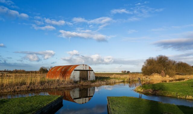 barn, reed, trees, reflection, mirror, corrugated sheet, rust, clouds, nature, pasture