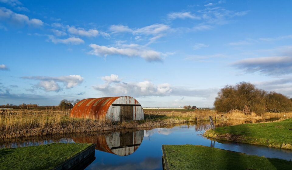 barn, reed, trees, reflection, mirror, corrugated sheet, rust, clouds, nature, pasture