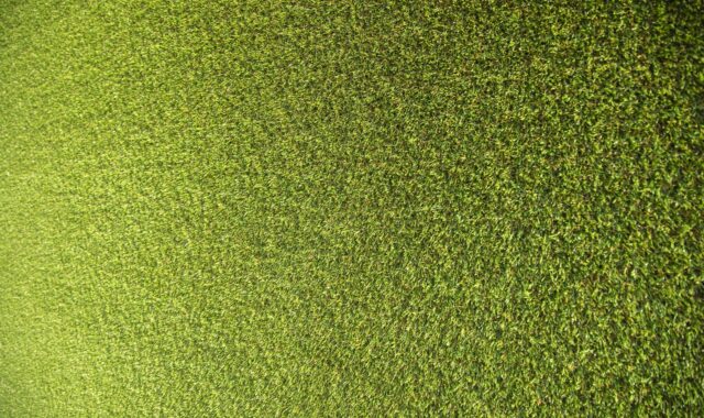 synthetic, abstract, grass, carpet, wall, ground, plastic, tissue, colour, modern, detail, macro, nature, material, pattern, surface, green, sunny