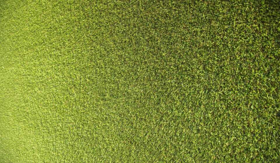 synthetic, abstract, grass, carpet, wall, ground, plastic, tissue, colour, modern, detail, macro, nature, material, pattern, surface, green, sunny