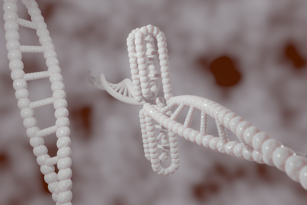 human, dna, genetic, cytosine, c-rich regions, i-motif, i-tetraplex, i-dna, dns, i-motif dna, quadruplex, g-quadruplex, non-b-dna, dna, dna, dna, dna, dna
