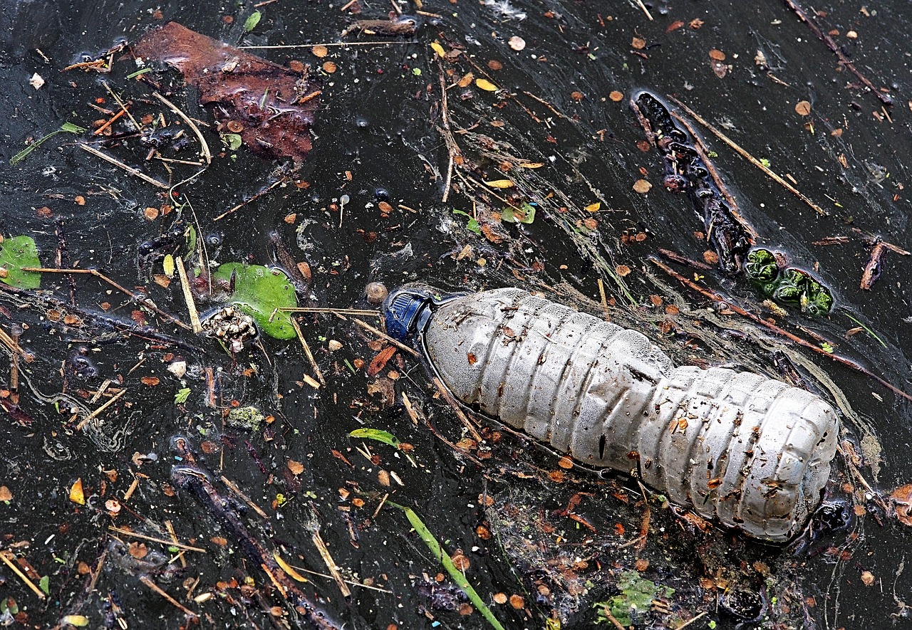 bottle, waste, pollution, garbage, litter, eyesore, discarded, plastic, recycle, problem, flotsam, float, floating, environment, environmental, eco, degrade, degradable, biodegradable, sea, river, creek, drink, beverage, container, packaging, trash, contamination, contaminate, sustainability, unsustainable, ecosystem, irresponsible, thoughtless, consumption, mess, gray bottle, gray pollution, biodegradable, biodegradable, biodegradable, biodegradable, biodegradable