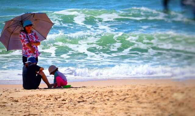 vietnam, sun protection, beach, health, skin cancer, sea, parasol, nature, coneflower, uv-srahlen, prevention