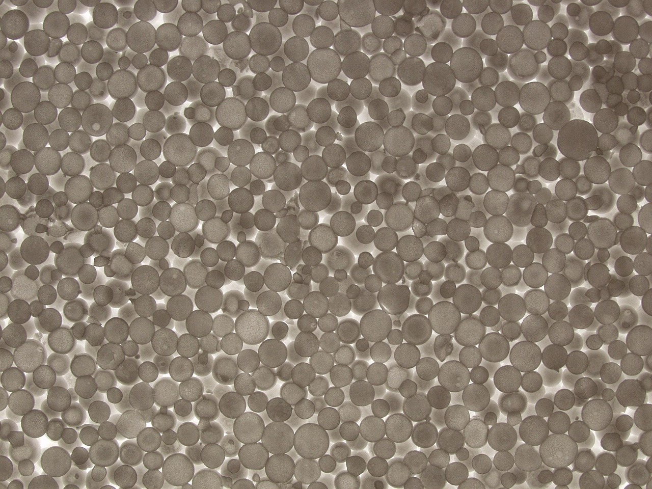 texture, polystyrene, material, polystyrene, polystyrene, polystyrene, polystyrene, polystyrene