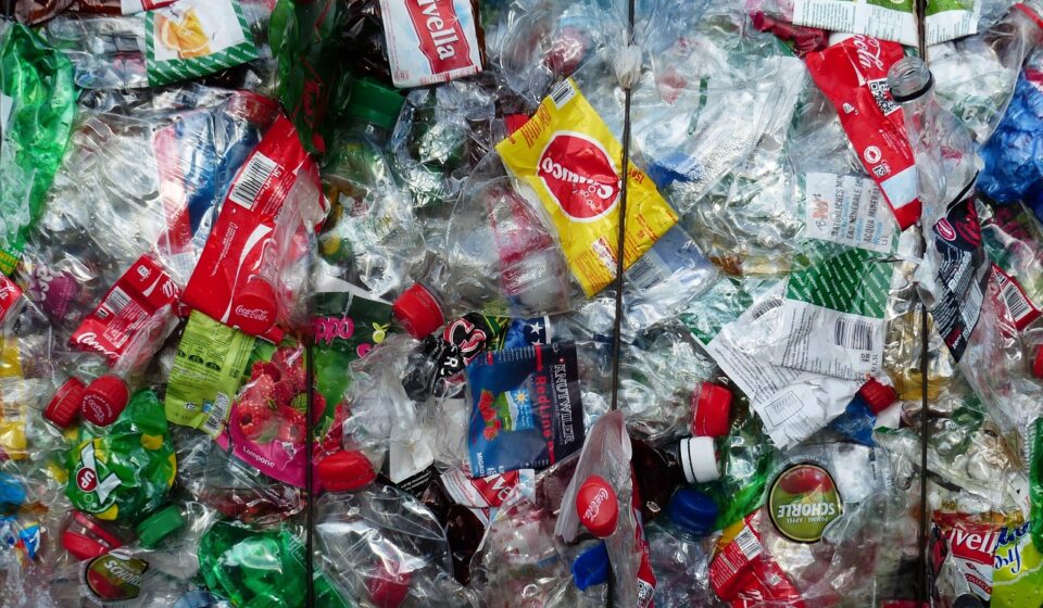 plastic bottles, bottles, recycling, environmental protection, circuit, garbage, plastic, pressed, presses, trashbin, dice, compressed, garbage collection, plastic bottles, plastic bottles, plastic bottles, recycling, recycling, garbage, plastic, plastic, plastic, plastic, plastic