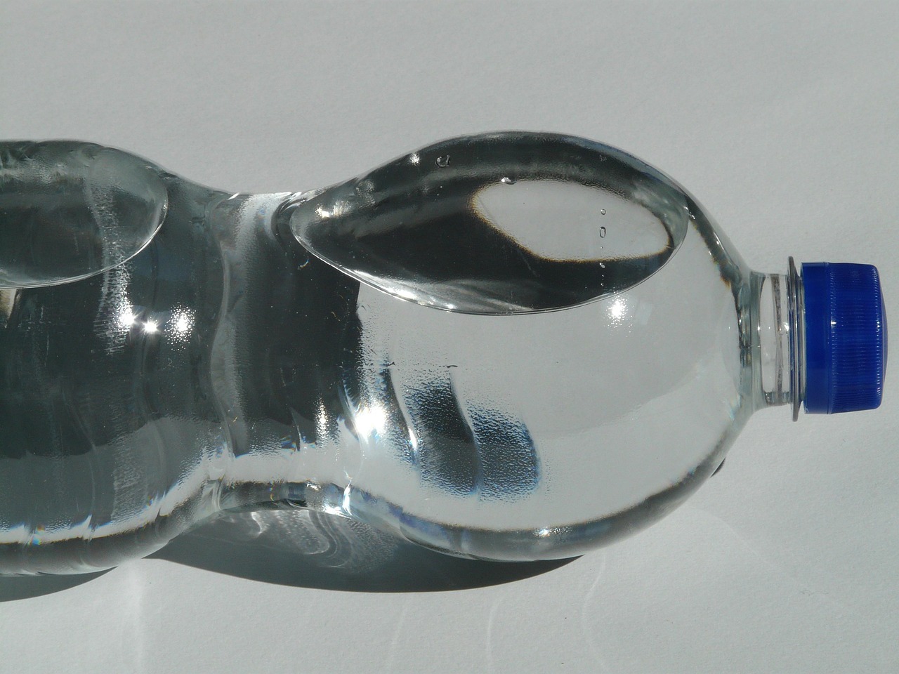 plastic bottle, bottle, sparkling water, water, transparent, lid, blue, tight, drink, carbonic acid, quiet, refreshing, refreshment, lie, air bubble, horizontally, closure, nature, screw cap, close, domestic animal, polyethylene terephthalate
