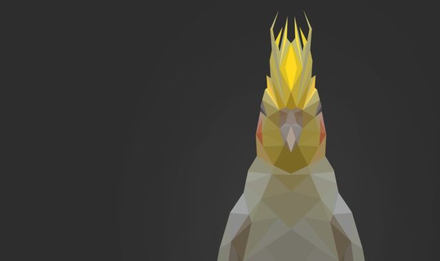 parrot, low poly, bird, polygon, geometric, nature, animal