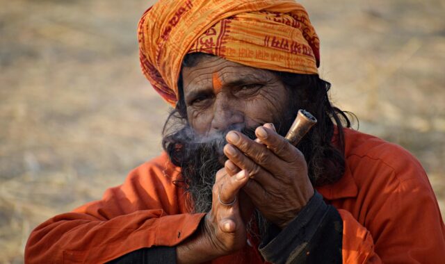 man, person, portrait, india, spiritual, hermit, beard, guru, hair, culture, yogi, religion, face, hinduism, male, india, india, india, india, india, hinduism