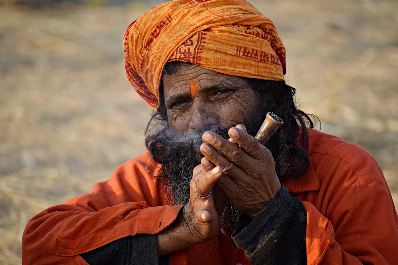 man, person, portrait, india, spiritual, hermit, beard, guru, hair, culture, yogi, religion, face, hinduism, male, india, india, india, india, india, hinduism