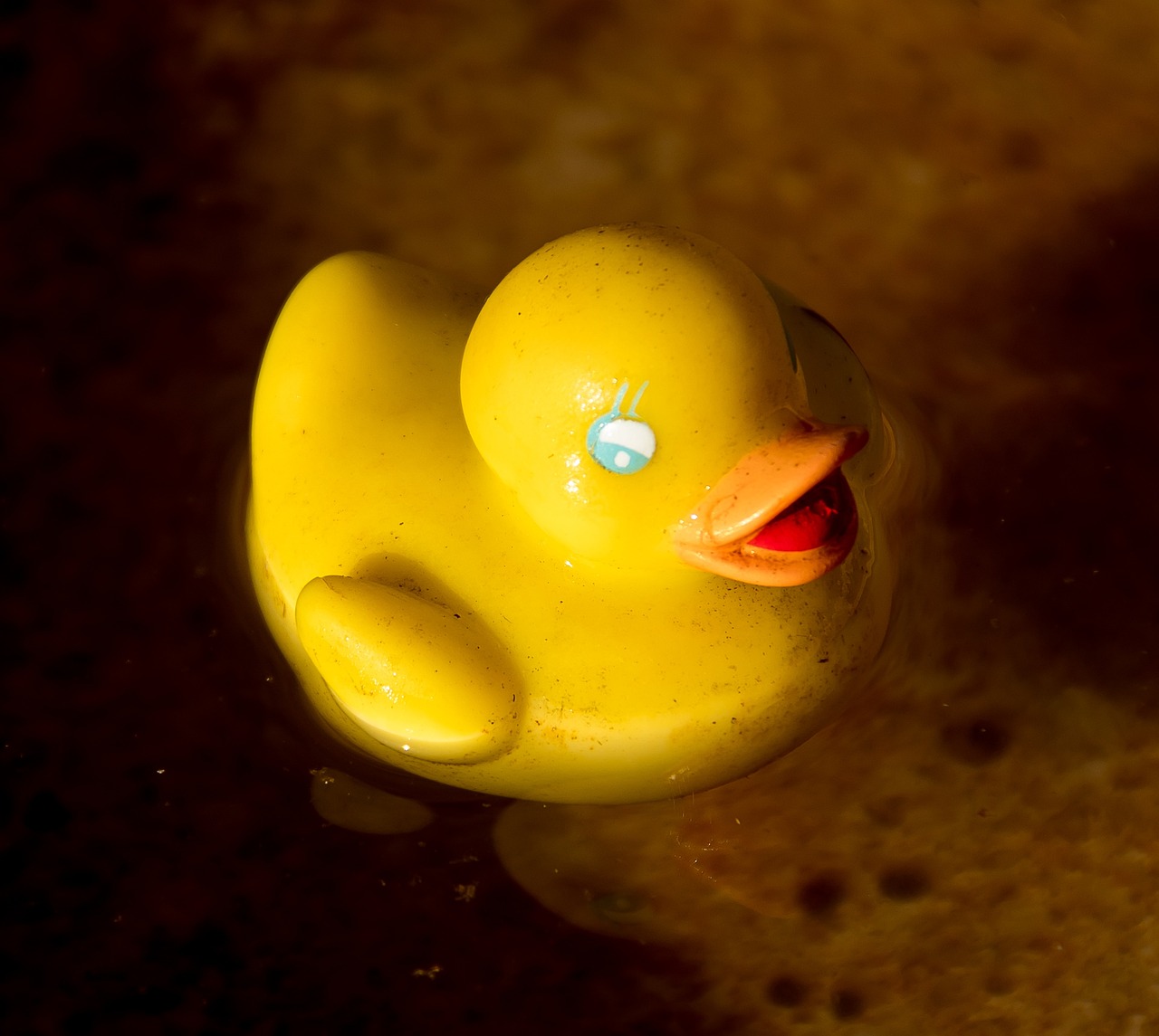 toy, duck, yellow, plastic, nature, water, rubber