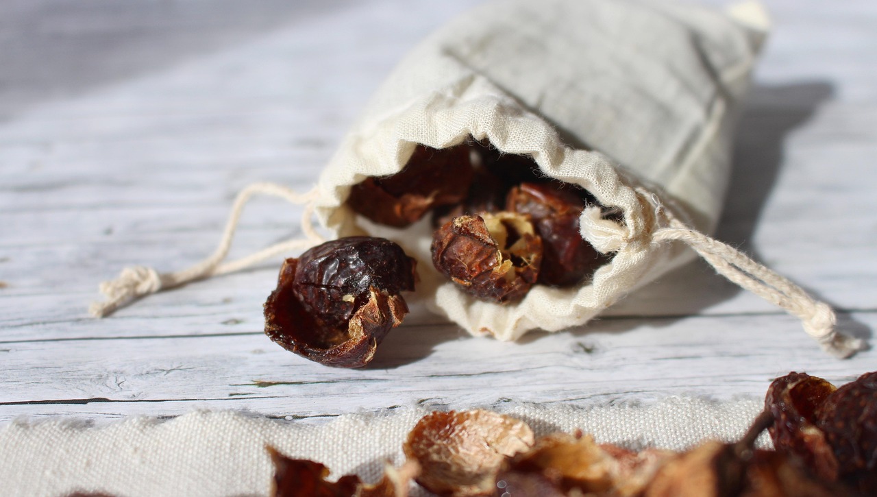 soap nuts, to wash, soap, hygiene, clean, cleaning, maintenance, naturally, household, zero waste, sustainable, alternative, healthy, bio, nature, laundry, bag, leinbeutel, plastic free, summer