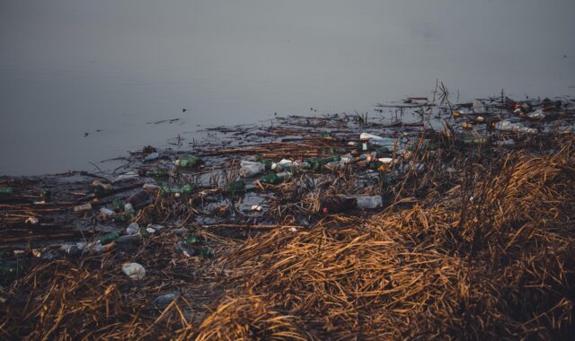 plastic garbage, plastic bottles, plastic, garbage, water pollution, waste, environmental protection, environment, river, water, pollution, recycling, rubbish, nature, trash, dump, ecology, problems, toxic