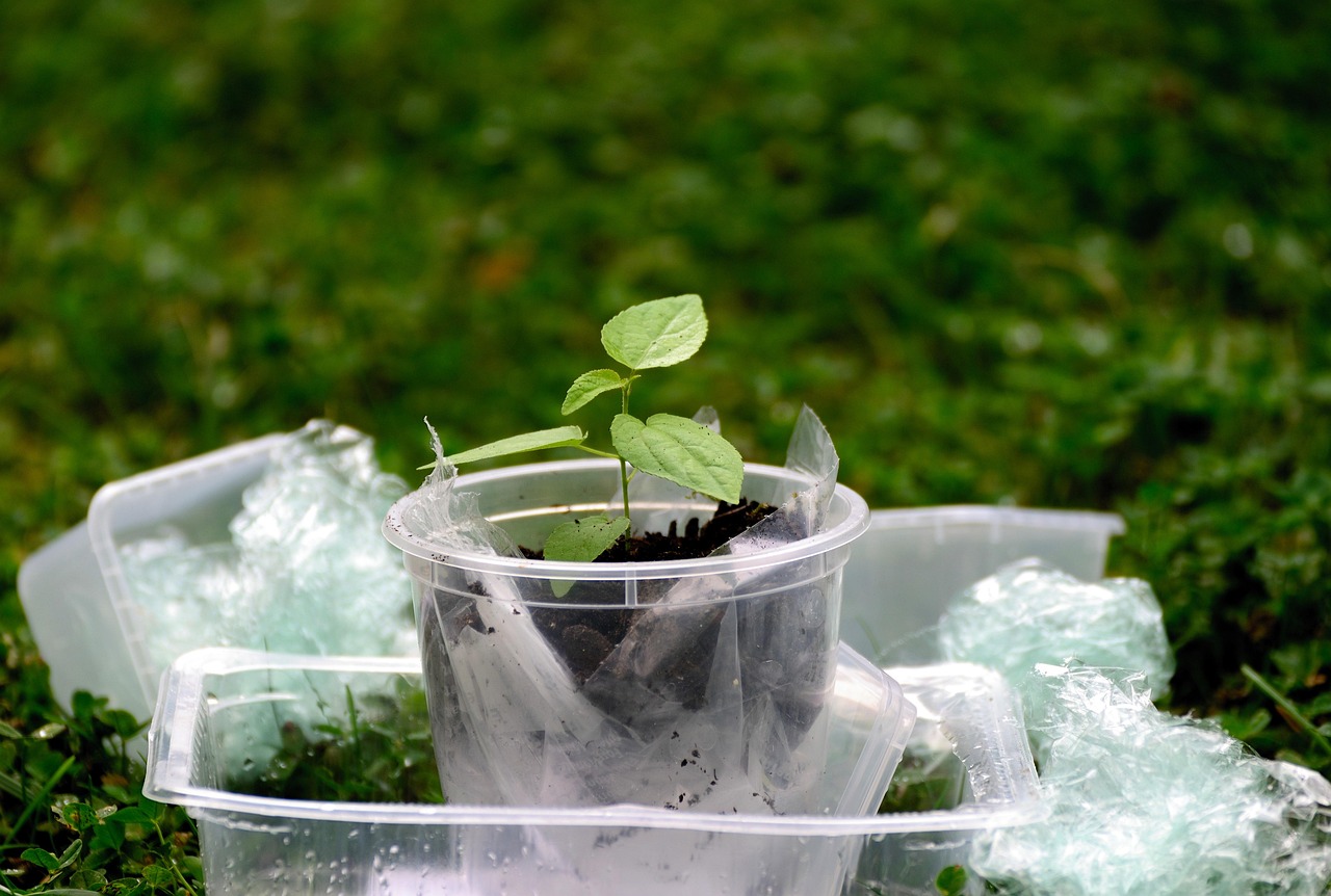 plastic, plastic waste, environment, environmental pollution, waste, environmental protection, garbage, throw away society, responsibility, nature, ecology, plants, plastic waste, plastic waste, plastic waste, plastic waste, plastic waste