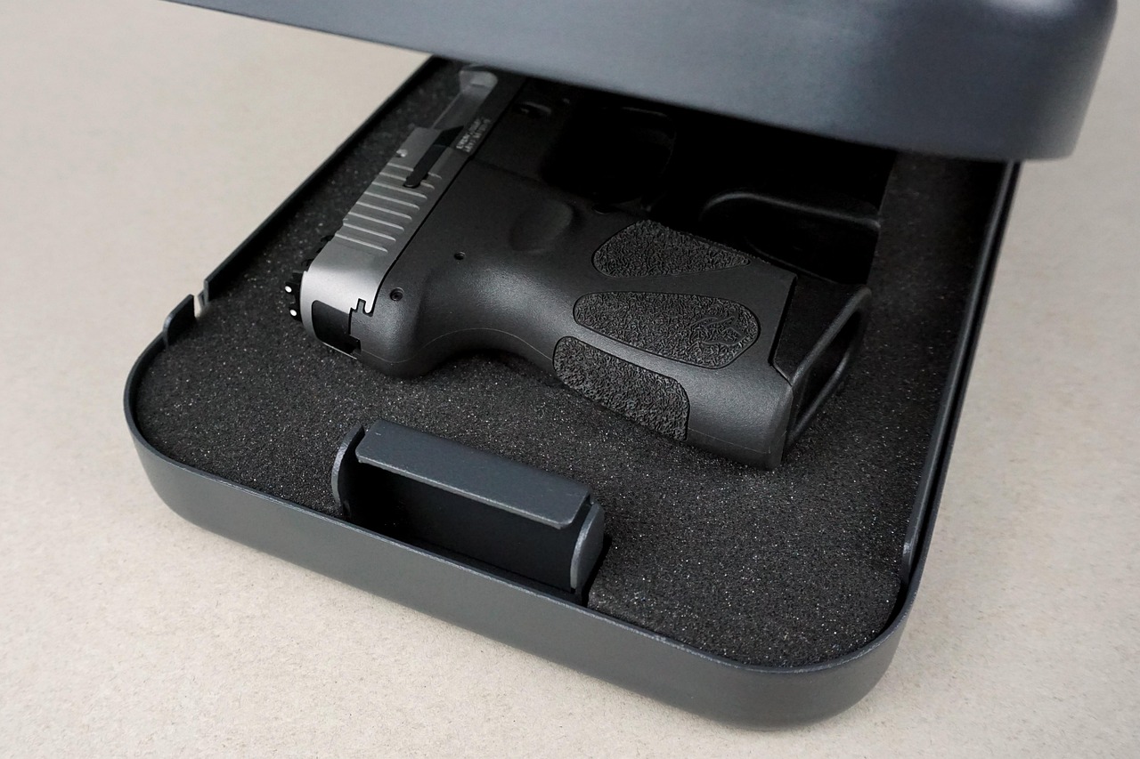 pistol, gun, self defense, weapon, handgun, taurus, firearm, g2c, storage, case, metal, gun, self defense, self defense, self defense, self defense, self defense, taurus