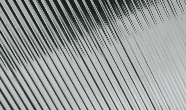texture, plastic, area, white, transparent
